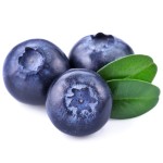 blueberries 100 of the best 100 calorie snacks | Body Chef